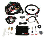 Holley HP EFI kit 550-601