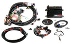 Holley HP EFI kit 550-602N